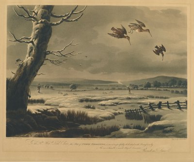Snipe Shooting by Philip after Reinagle